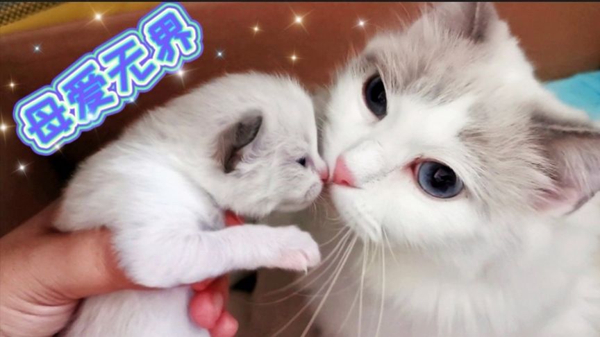 日韩精品视频一区二区三区4k 未来可能会有更多4k资源上线