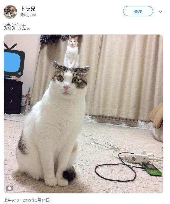 国产传媒免费看