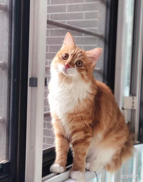 啄木鸟全部作品合集 是几代人的共同记忆