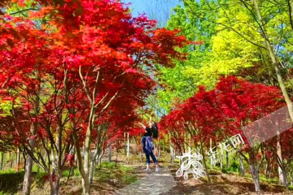 国内视频一区二区