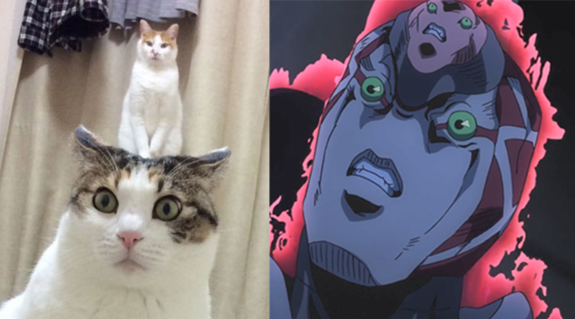 好色女人网 女人网站还经常搞线上活动