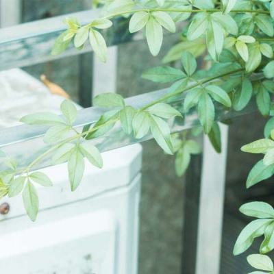 小马拉大车专区