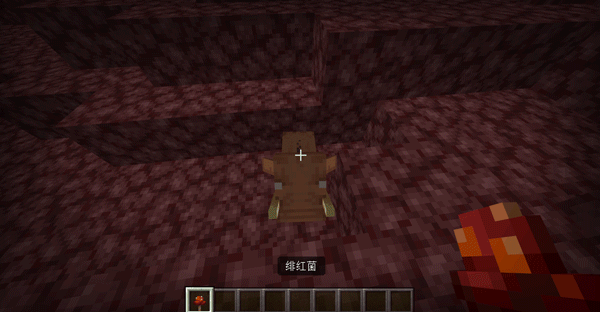 女飞行员啄木鸟