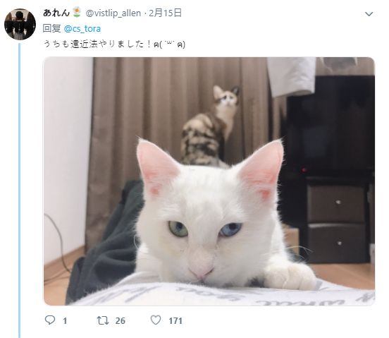 国内精品久久久久影院日本