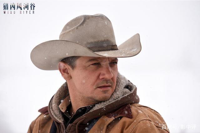 家庭摄像头小马拉大车