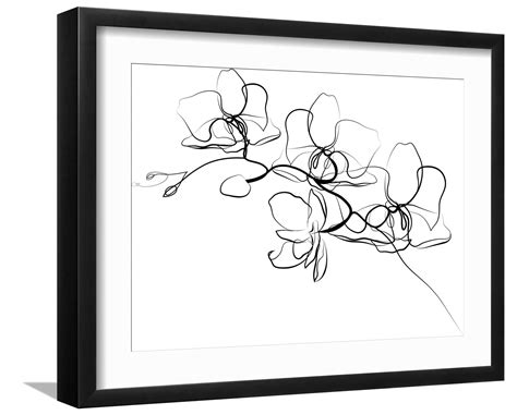 紫 可 可 影 视 电 视 +剧 动 漫 在 线 观 看