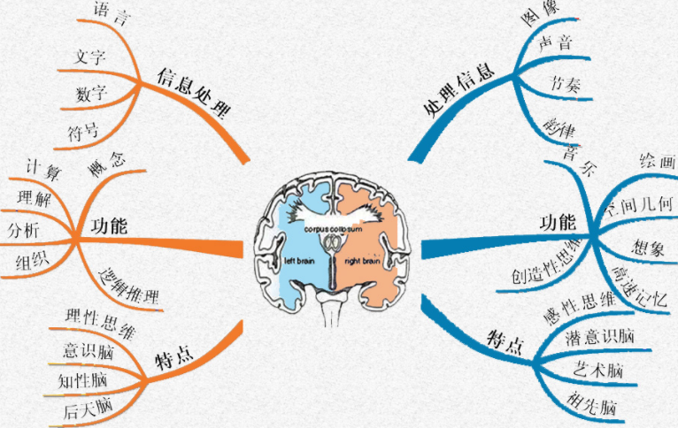 紫 可 可 影 视 电 视 +剧 动 漫 在 线 观 看 动漫且没有客服保障