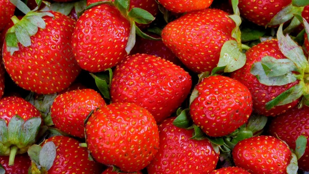 隔壁邻居大乳在线播放