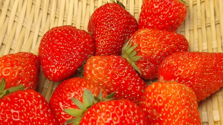 影音先锋av在线资源库 直接点开收藏夹就行