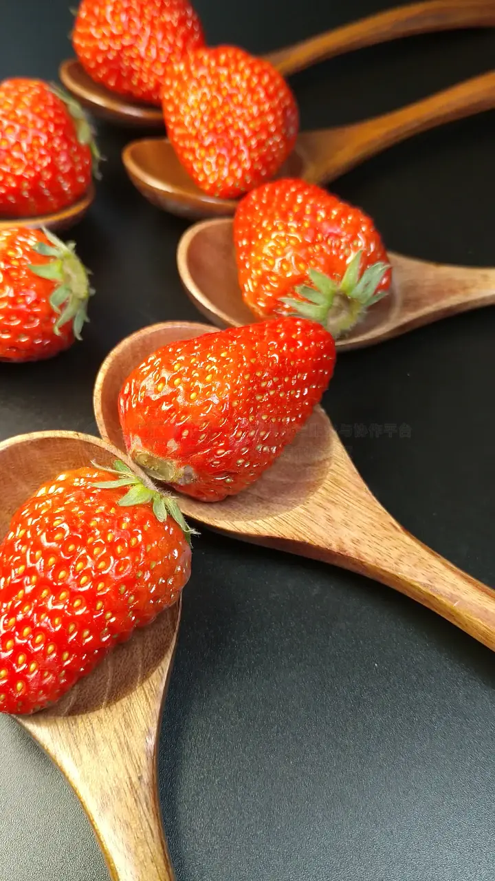 日本高清免费情在线视频