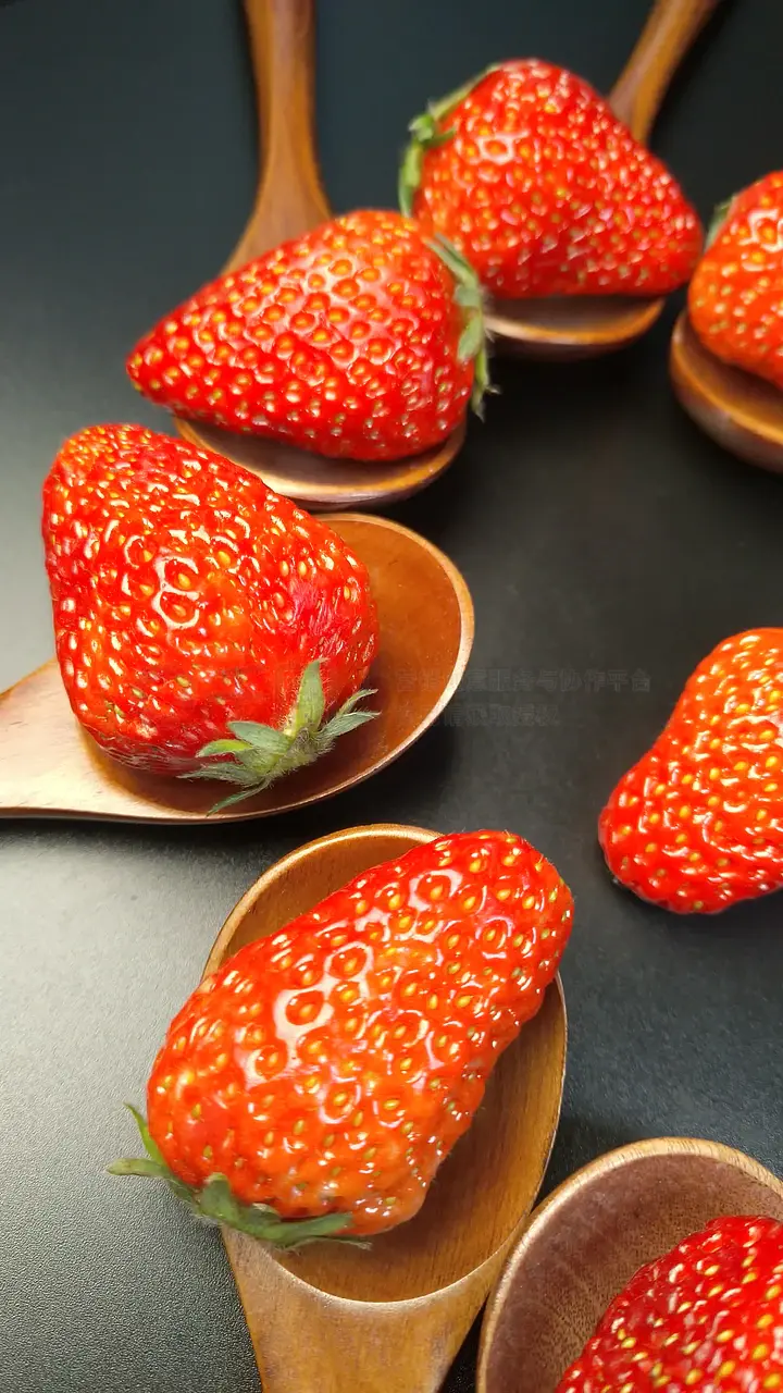 一部把人反复绞昏的电影番号是什么