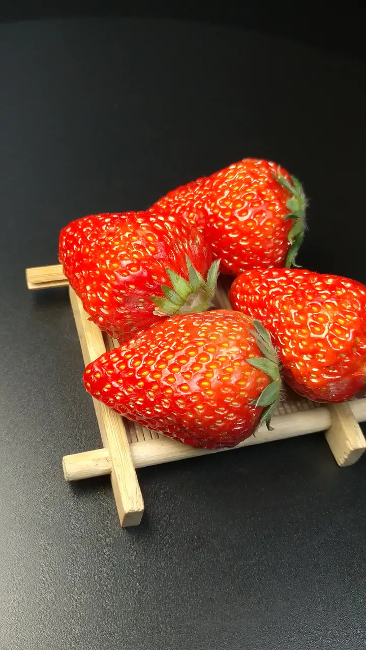 国产欧美精品国产国产专区