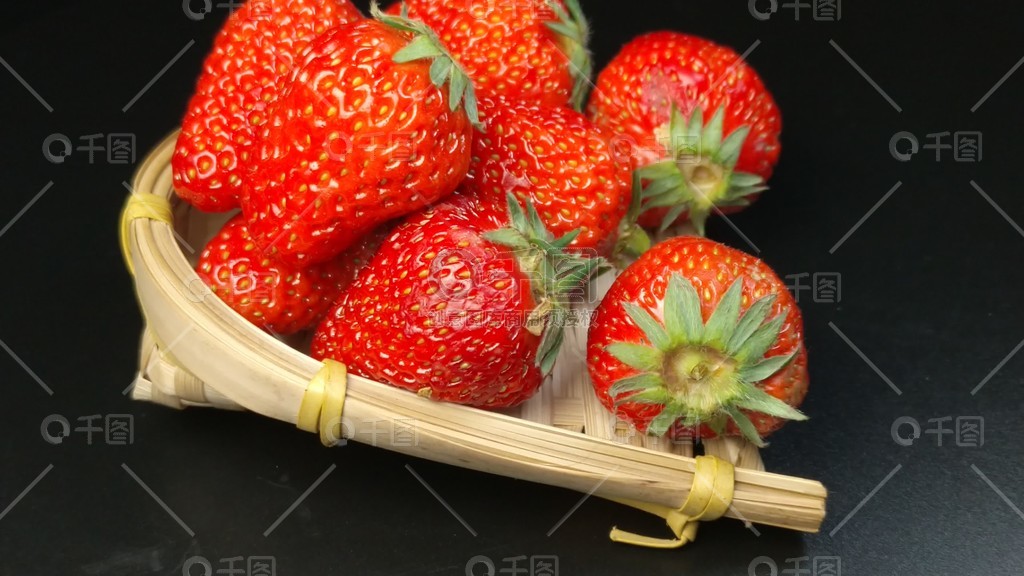 日高由利亚 她曾为多部动画角色配音