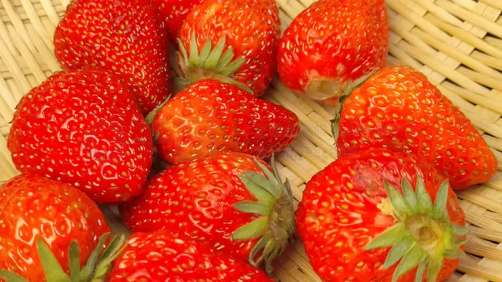 寸止训练 “寸止”一词源于日语