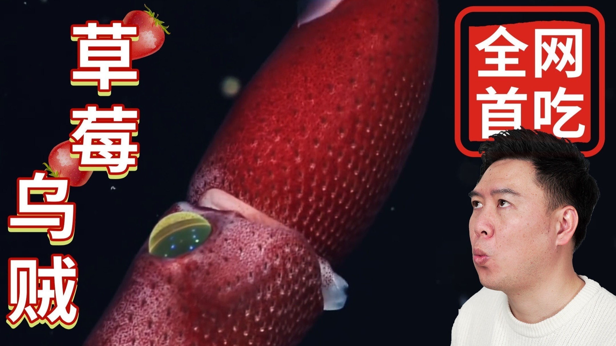 寸止训练 “寸止”一词源于日语