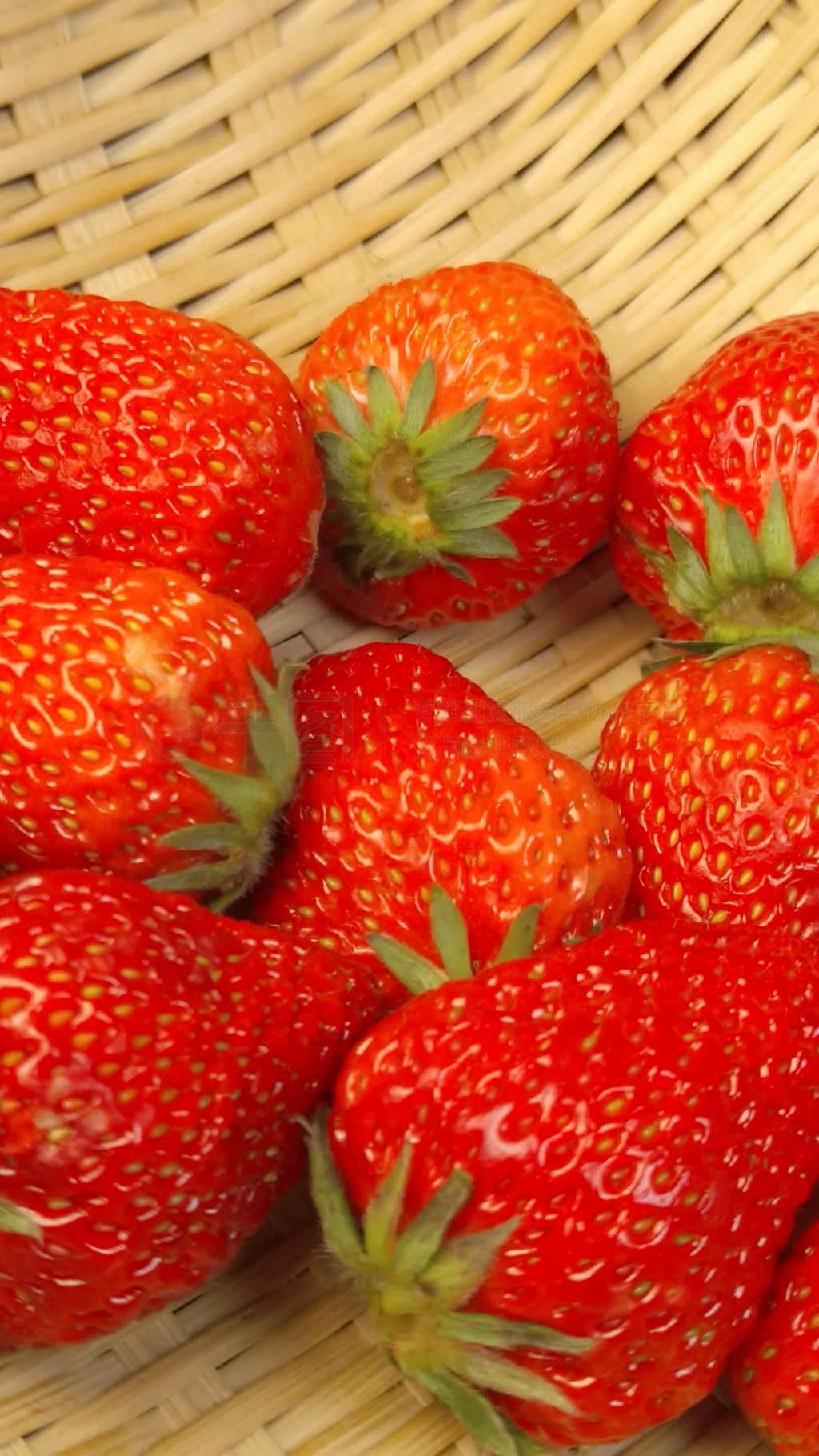 порно 一匹小马拉着一辆大车 cj991 我还没有学会回答这个问题