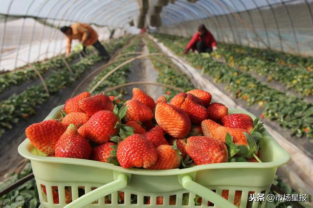 精品国产自在现线免费观看 精品精品如果你有其他问题