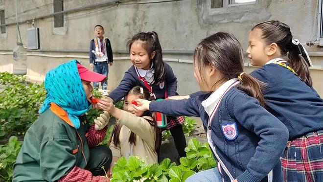 海南玉点慧科技有限公司 招标