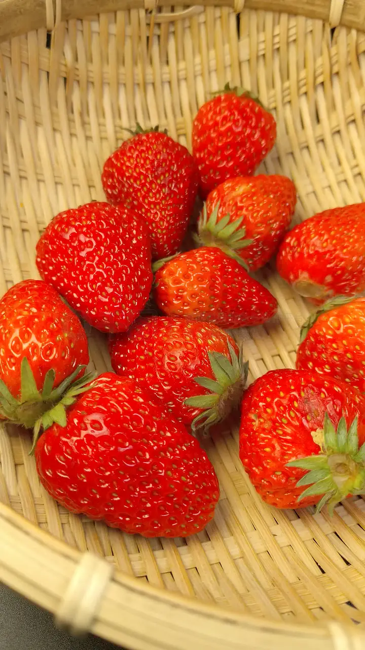 久久久久久亚洲精品不卡