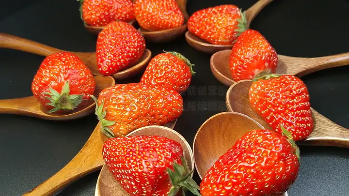 丝瓜短视频 短视赌博是丝瓜被严格禁止的