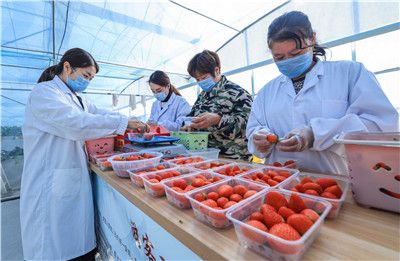 99国产精品国产精品九九