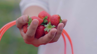 男同网动漫 成年人的网动复杂爱情