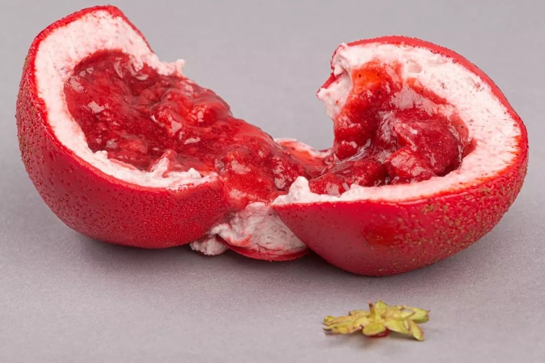 derprixion 动画在线 动画我很乐意继续帮您查找