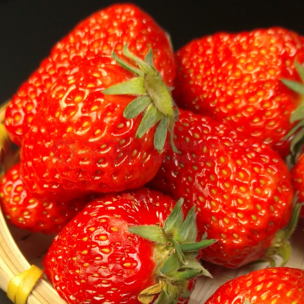 derprixion 动画在线 动画我很乐意继续帮您查找