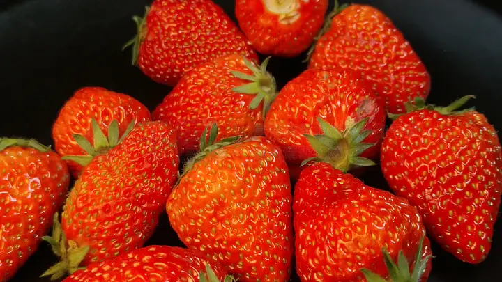 火影忍者纲手同人本子 纲手如果您对火影忍者感兴趣