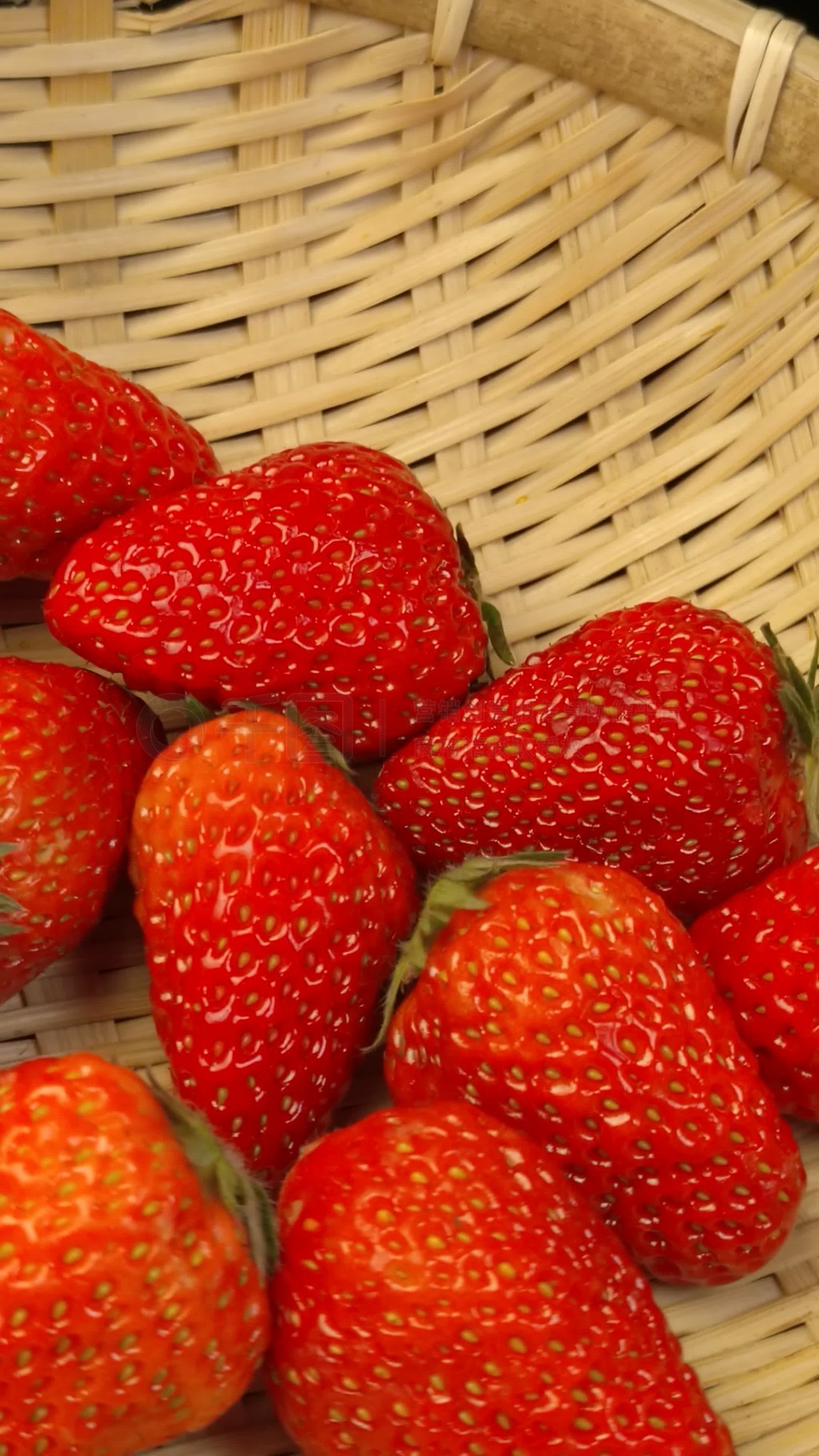 视频资源在线观看