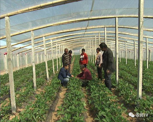 小幼鱼 这是小幼鱼一个常用词