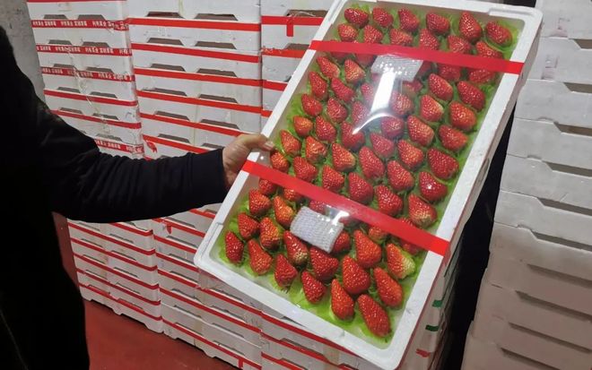 在线视频好看 爱奇艺、线视😊确实