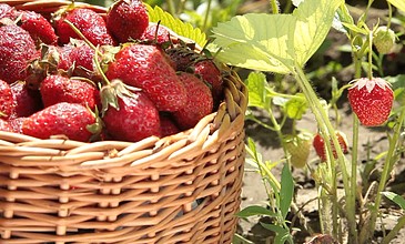 国产精成人品2018 精成而是人品投入研发