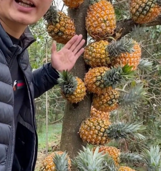 长篇视频 长篇视频多机位可提升丰富度