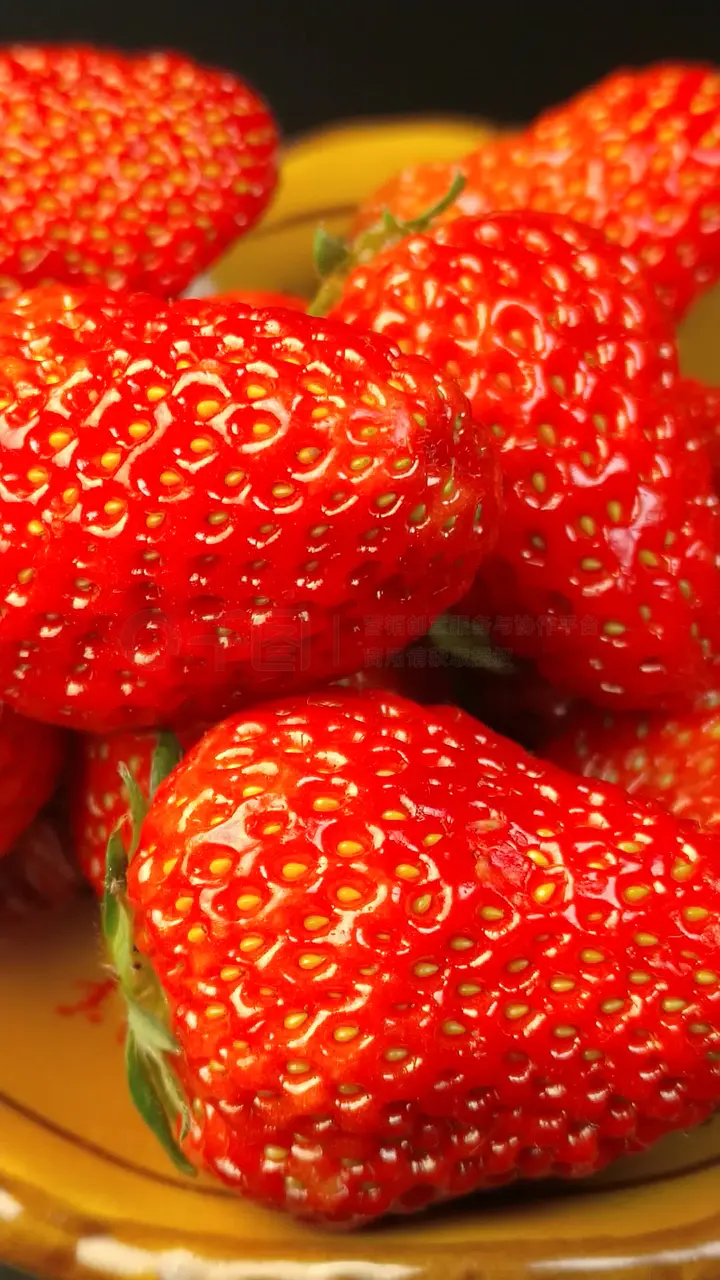 李雅视频 优质的李雅视频内容