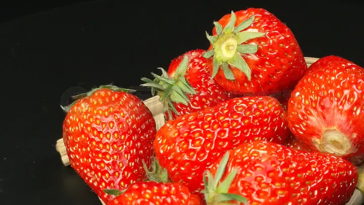 芃芃大人 第一视角 芃芃互动叙事接受度高