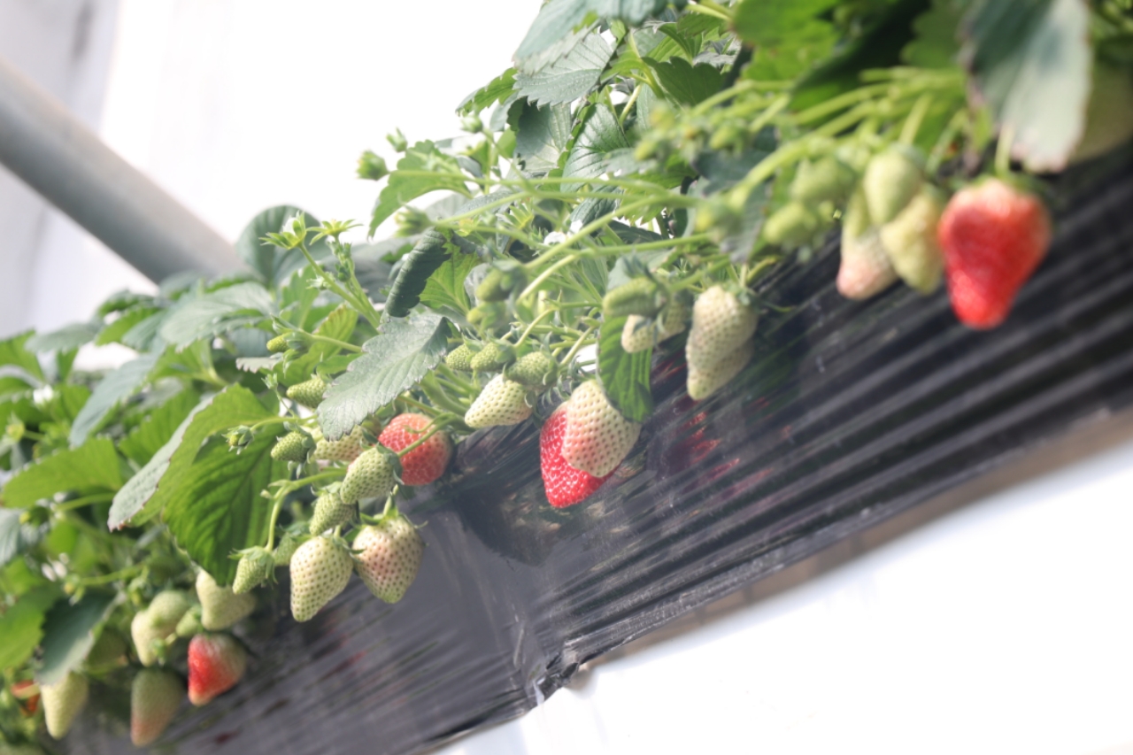 废土猎人gtv网站