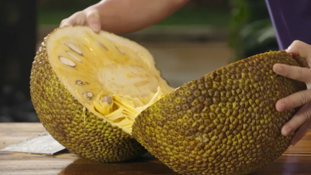 义母动漫 《白兔糖》：经典之作