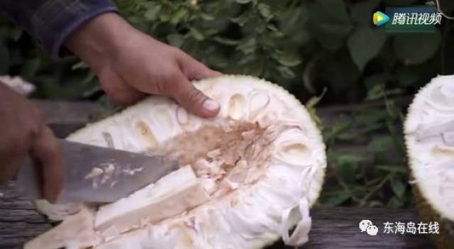 b站视频在线观看