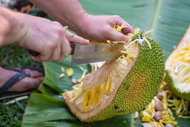 anastangle视频 视频复杂交织的视频线条图案