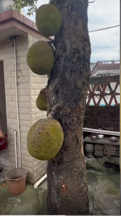 中文字幕人 更有针对性的中文字幕解答