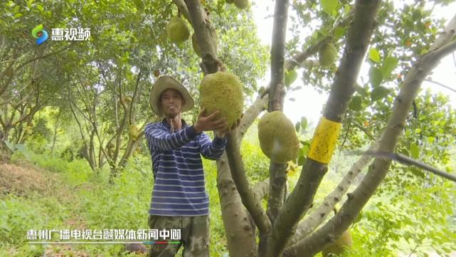 中文字幕人 更有针对性的中文字幕解答