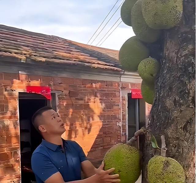 九九无码人妻一区二区三区