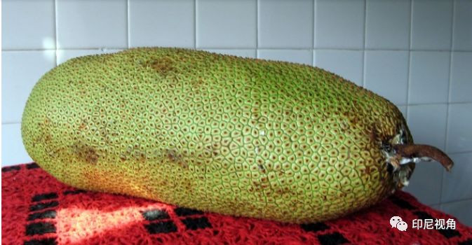 黄色短视频软件