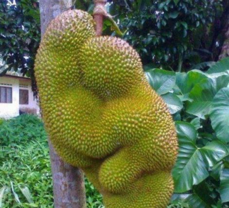 河北旺朋文化传媒有限公司 招标