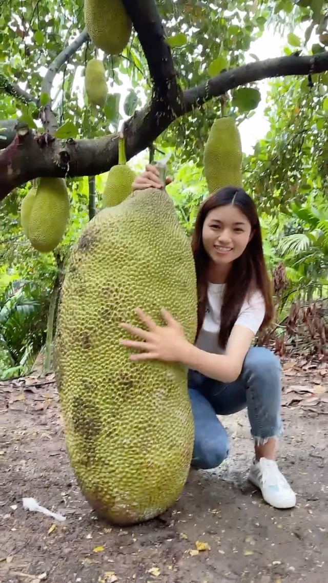 51吃瓜泄密每日大赛