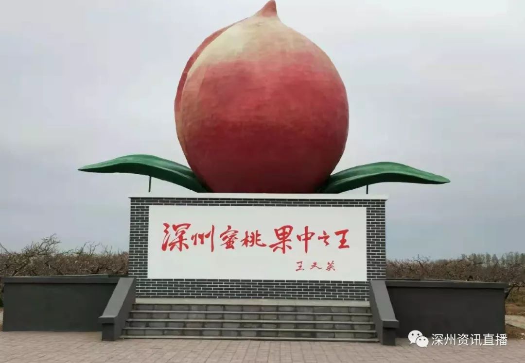 尤的视频 为了能更好地帮助您