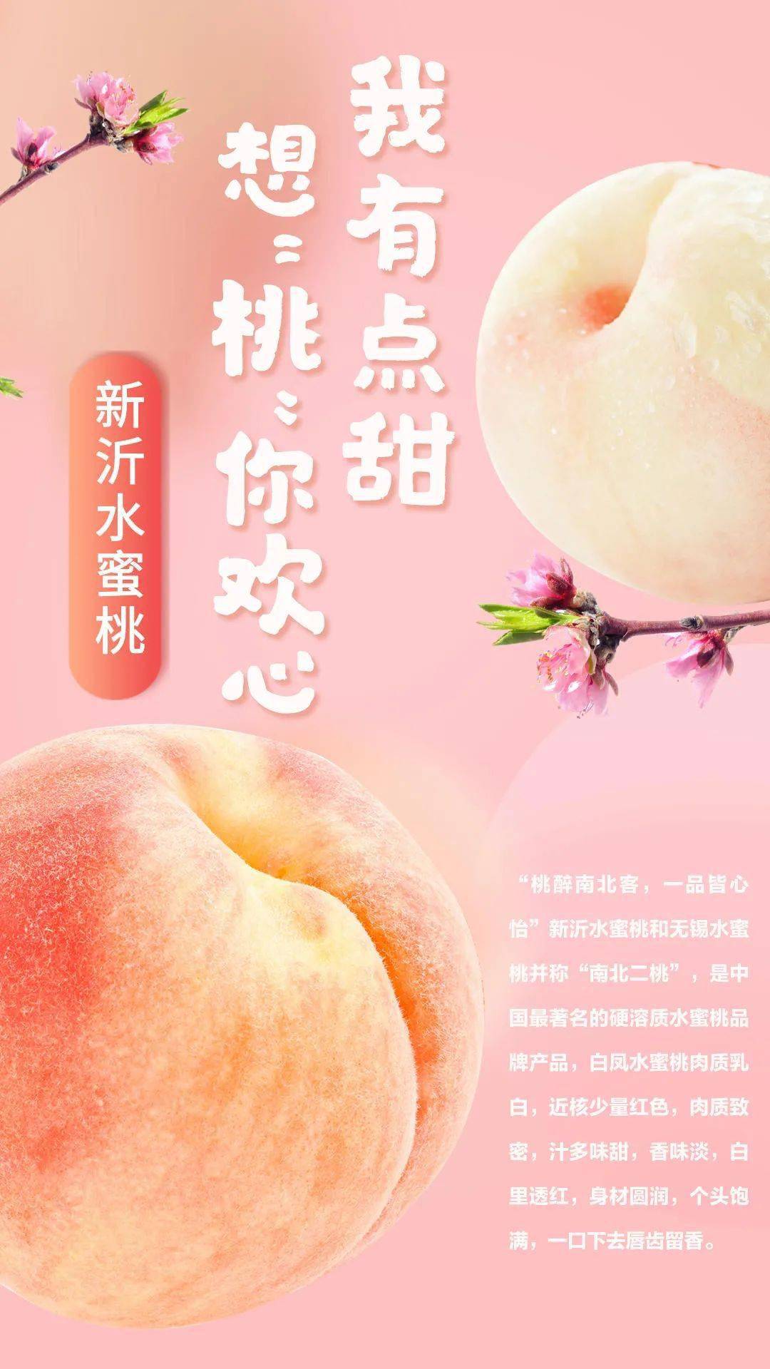 上海海彬源服饰有限公司 招标