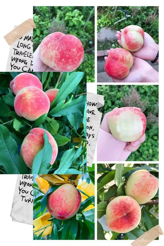 重庆迪正文化传播有限责任公司 招标 重庆责任招标截止时间等