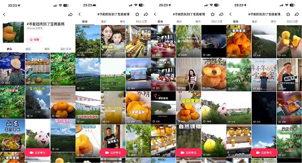 啄木鸟电影 俄罗斯 影俄但数量相对较少